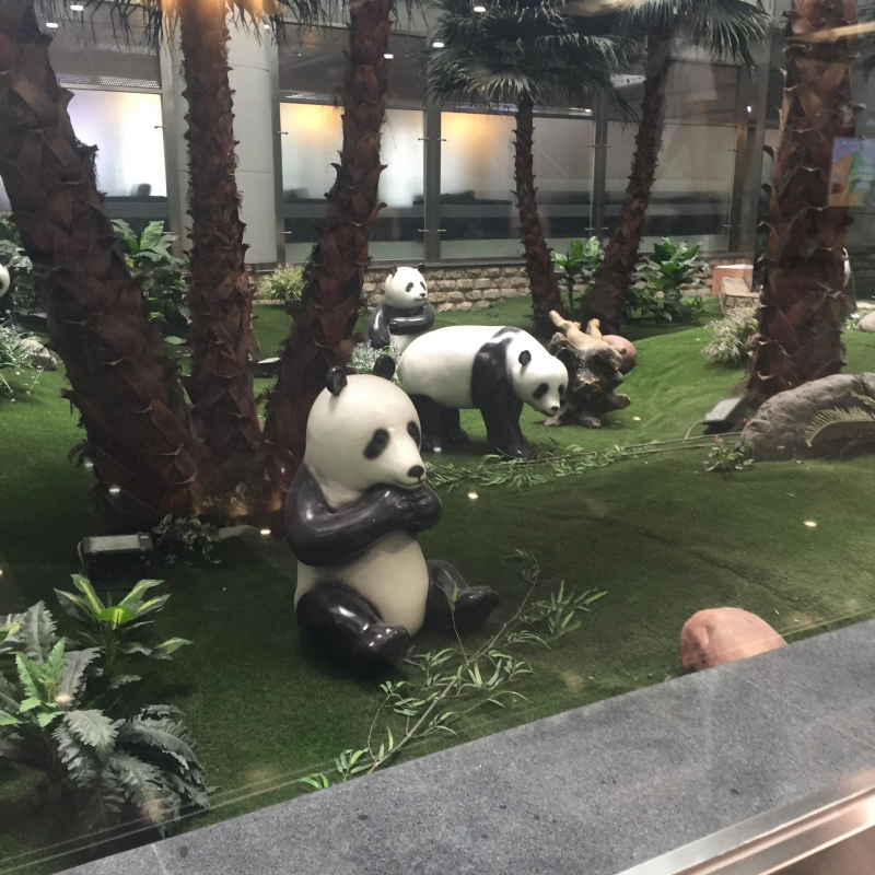 中国にセミナーしに行きました！